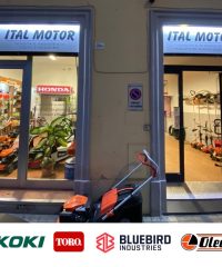 ITALMOTOR