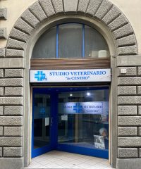 STUDIO VETERINARIO IN CENTRO